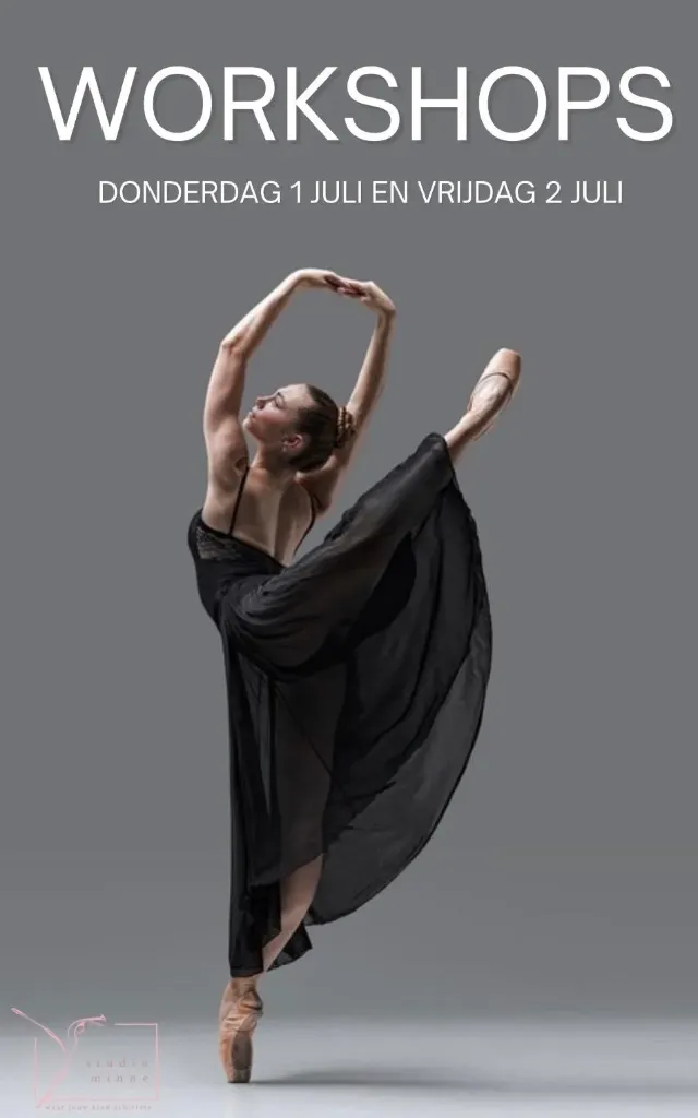 DANSWORKSHOPS
