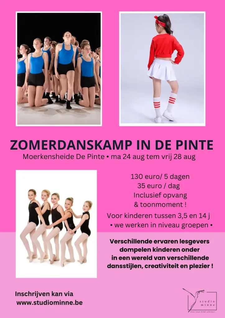 ZOMERDANSKAMP IN DE PINTE (24-28 AUG) (€35 / dag)